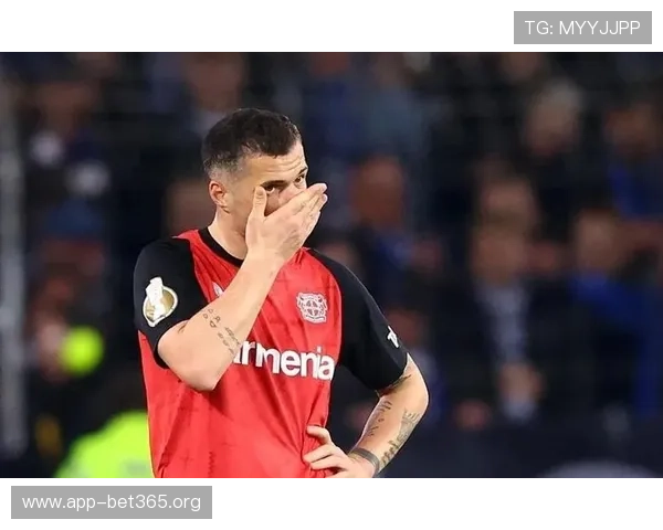 勒沃库森爆冷不敌德丙比勒菲尔德 无缘德国杯决赛