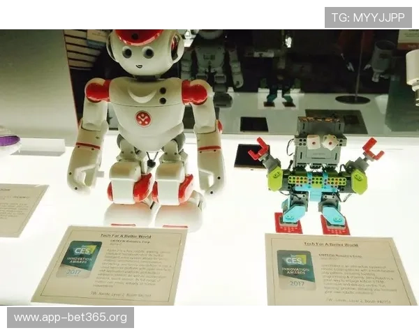 MC体育：引领潮流的运动科技平台，创新与激情的完美融合